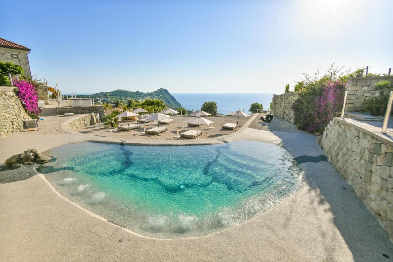 Tenuta C'Est La Vie Forio di Ischia Dış mekan fotoğraf