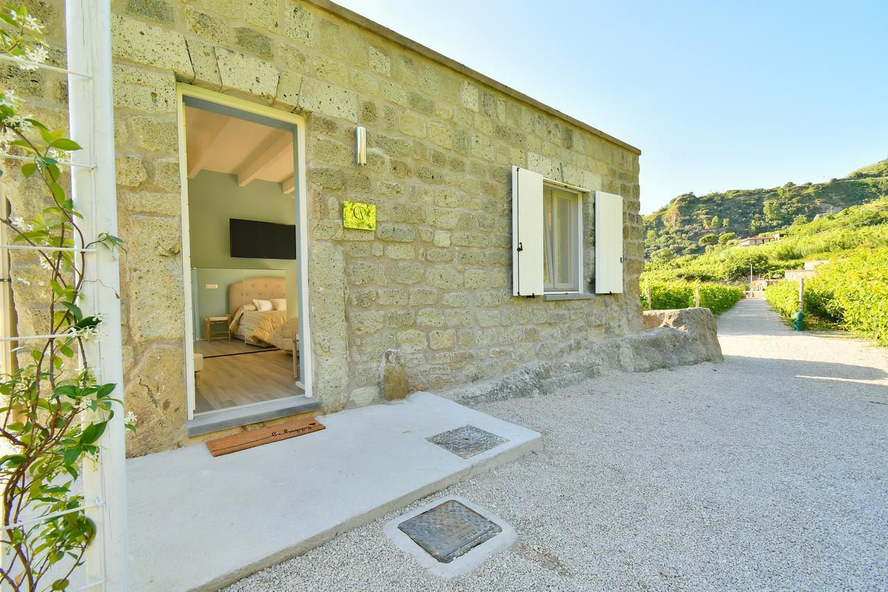 Tenuta C'Est La Vie Forio di Ischia Dış mekan fotoğraf