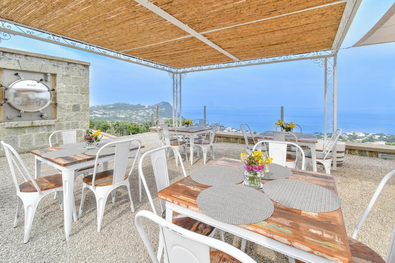 Tenuta C'Est La Vie Forio di Ischia Dış mekan fotoğraf