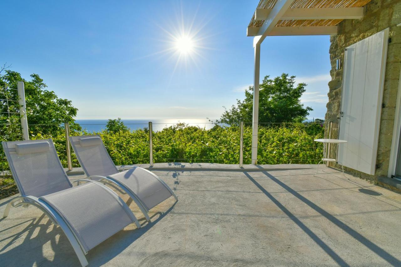 Tenuta C'Est La Vie Forio di Ischia Dış mekan fotoğraf